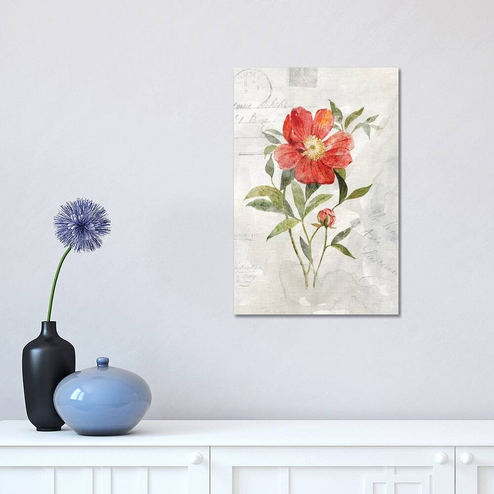 iCanvas "Linen Peony" by Carol Robinson Canvas Print
