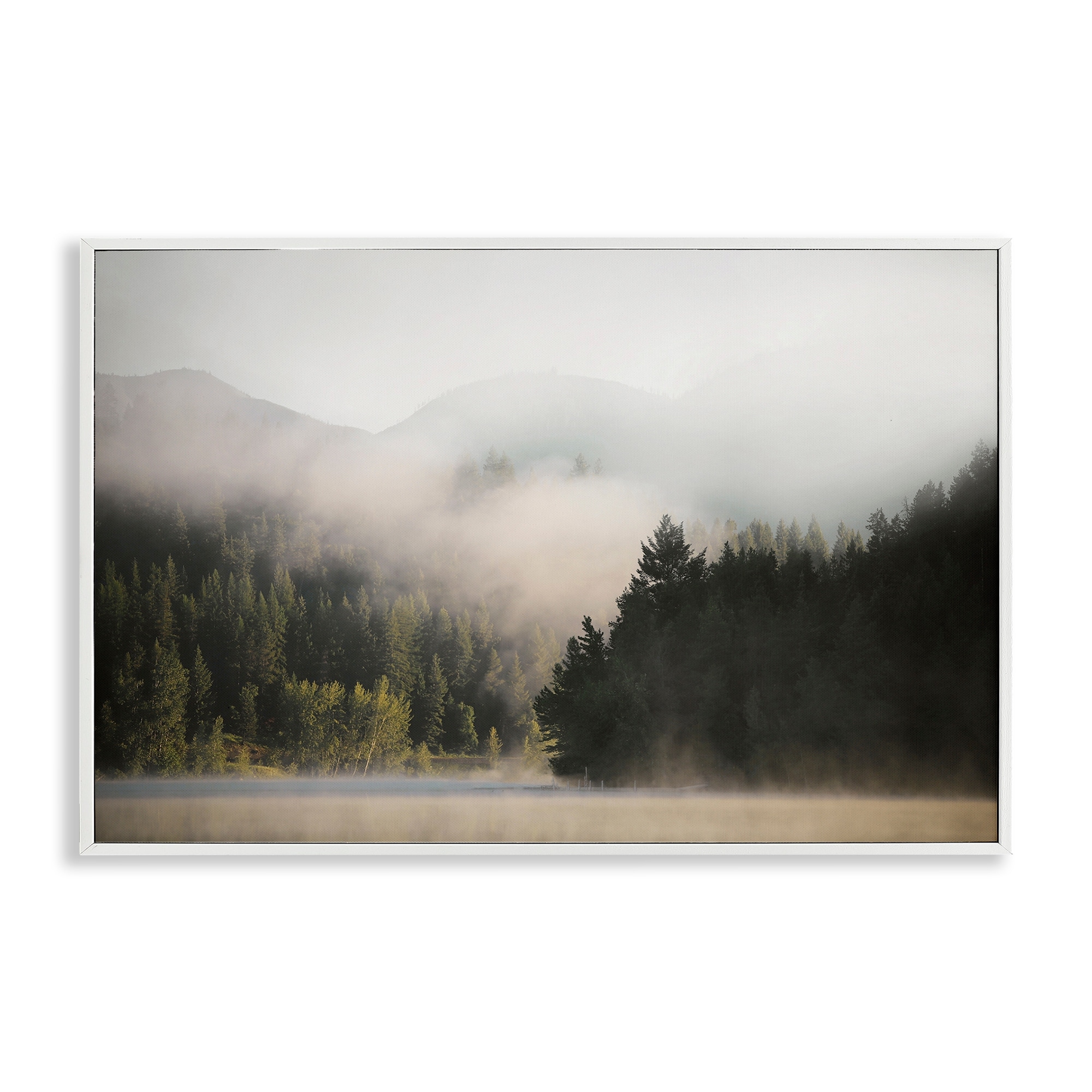 Stupell Rolling Fog Woodland View Framed Giclee Art Design By Carol Robinson