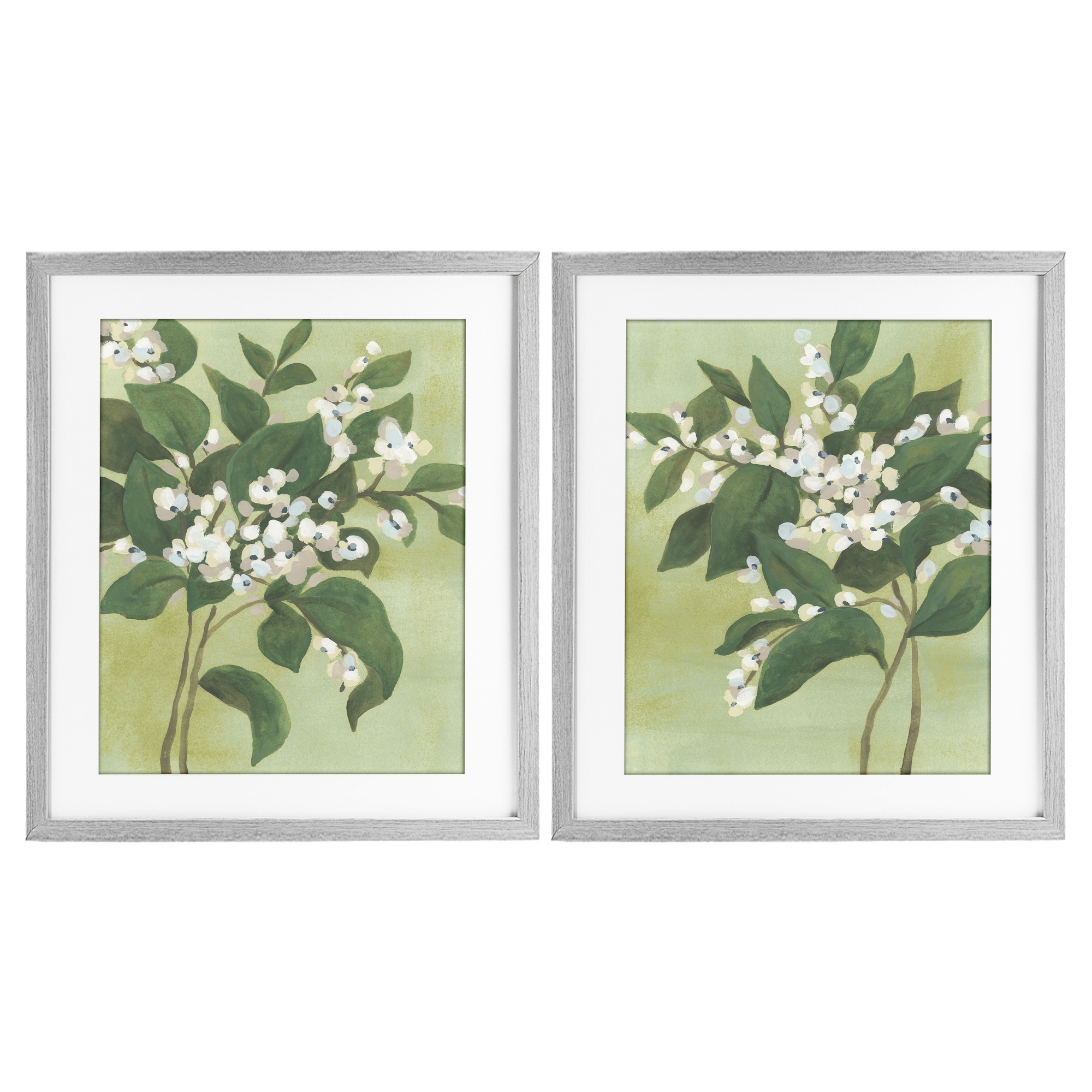 Stupell Verdant Herb Blossoms Under Glass Framed Design By June Erica Vess (Set of 2)