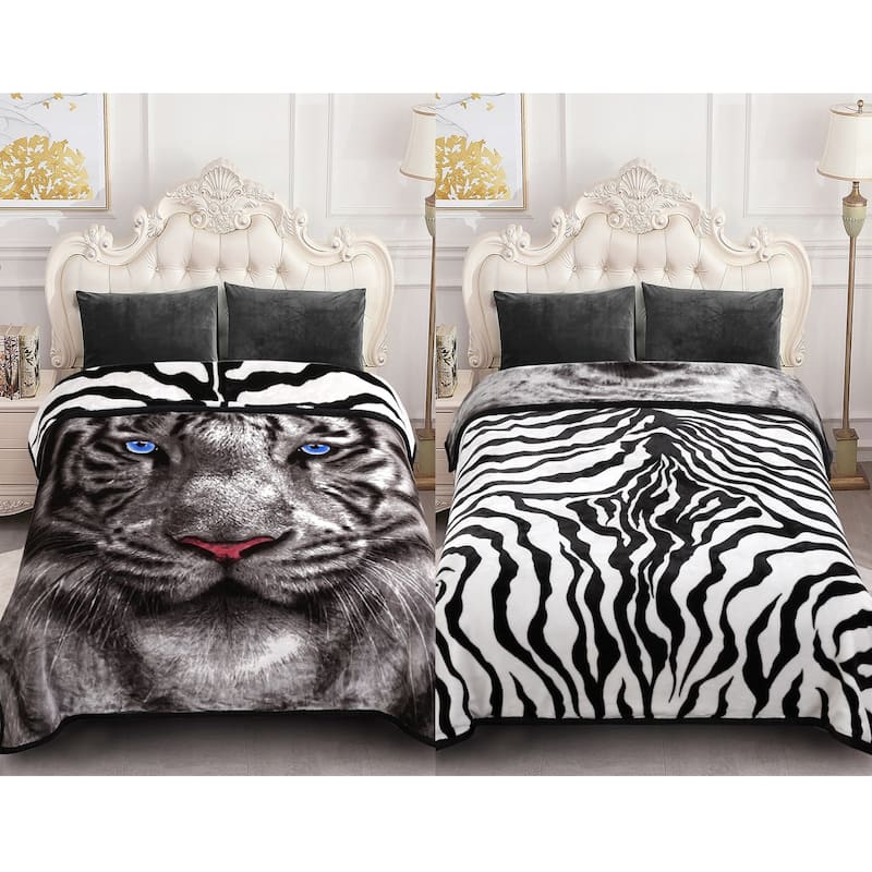 Raschel A&B Printed 2-ply Reversible Korean-style Plush Fleece Blanket