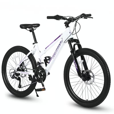 26 inch Mountain Bike, Shimano 21 Speeds with Dual Disc Brakes
