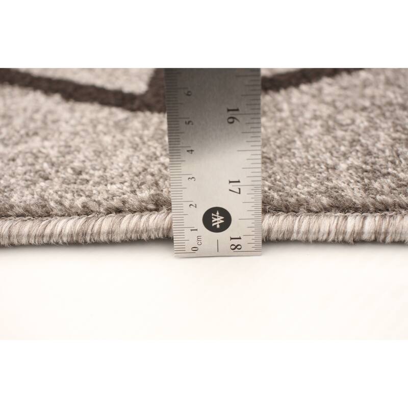 ECARPETGALLERY Ana Transitional Rug
