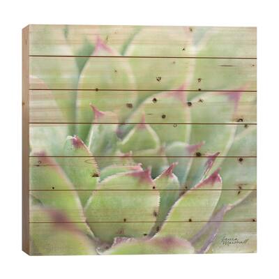Garden Succulents I Print On Wood by Laura Marshall - Multi-Color