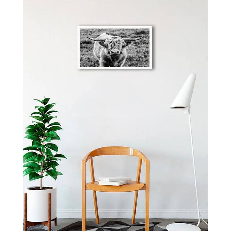 Highland Cow Staring Framed Poster - 18 x 24 Inch - White