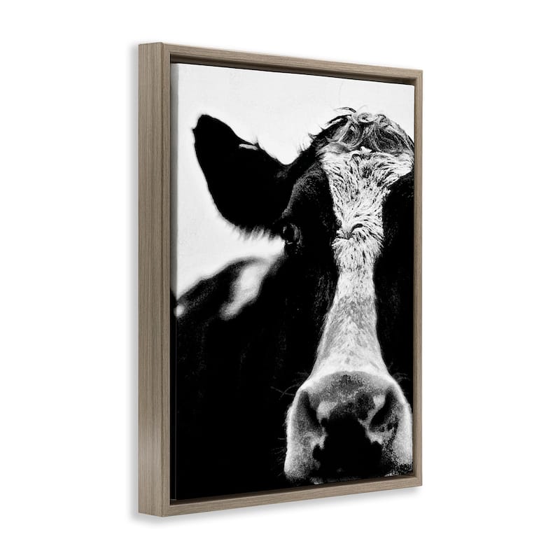 Stupell Cow Black And White Close Up Floater Frame