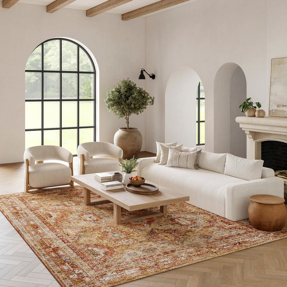 Nourison Petra Traditional Vintage Persian Area Rug