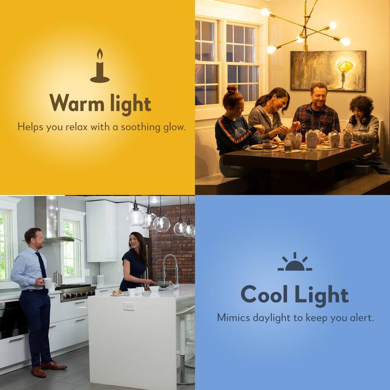 Bulbrite Multi Pack of Dimmable Clear Appliance, Amusement Candelabra (E12) Incandescent Bulb