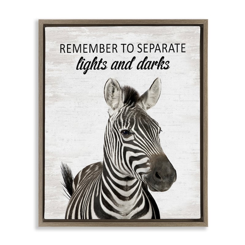 Stupell Remember To Separate Laundry Framed Floater Canvas Wall Art Design By Lettered and Lined - 25 x 31 - Brown