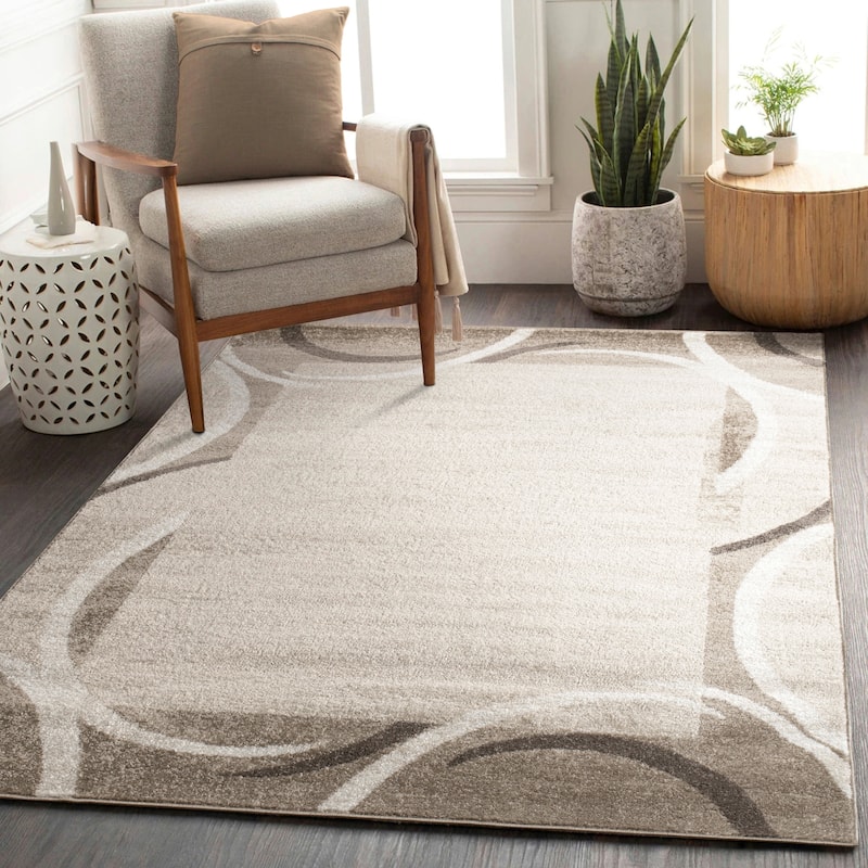 Modern Area Rug for Living Room Classic Design with Border - 2'8" x 4'11" - Brown
