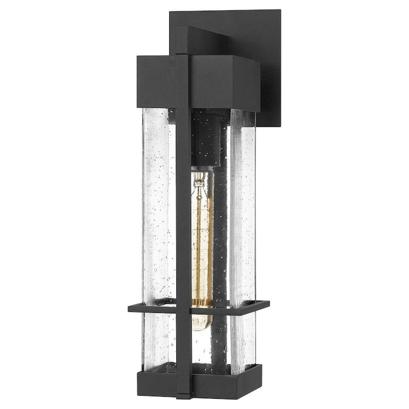 Wynn 1-Light Outdoor Wall Mount in Earth Black