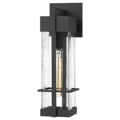 Wynn 1-Light Outdoor Wall Mount in Earth Black