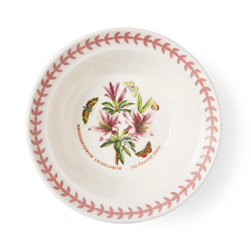 Portmeirion Botanic Garden Set of 6 Meadow Oatmeal Bowls - 6.5 in