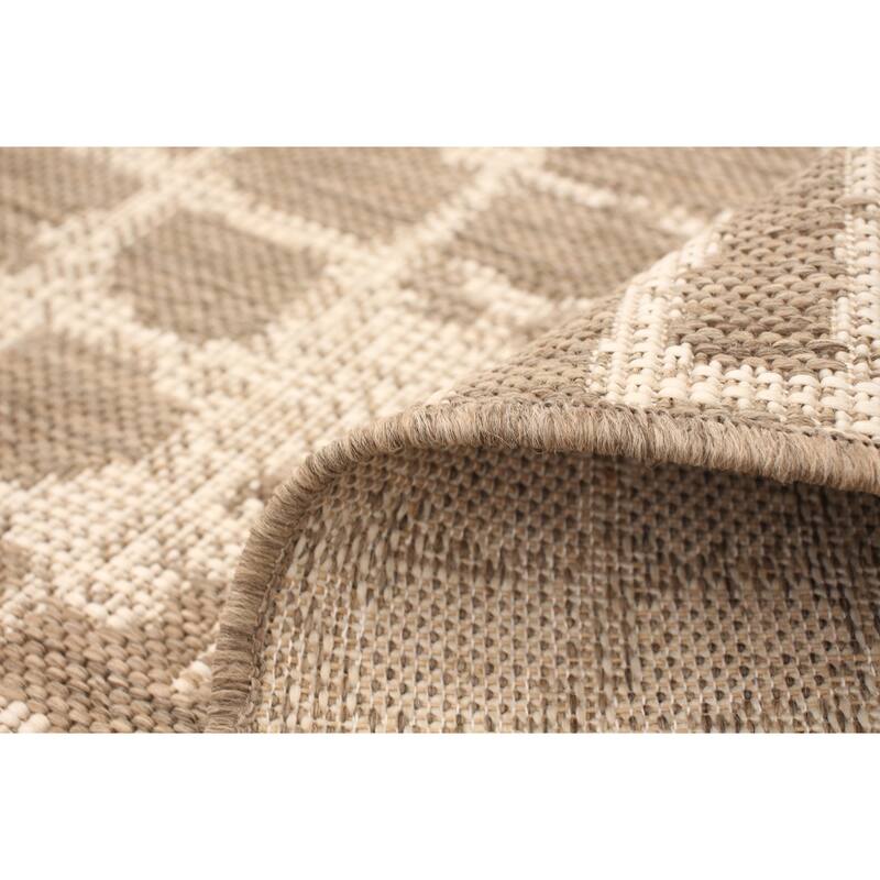 ECARPETGALLERY Sisal Safari Indoor/ Outdoor Rug