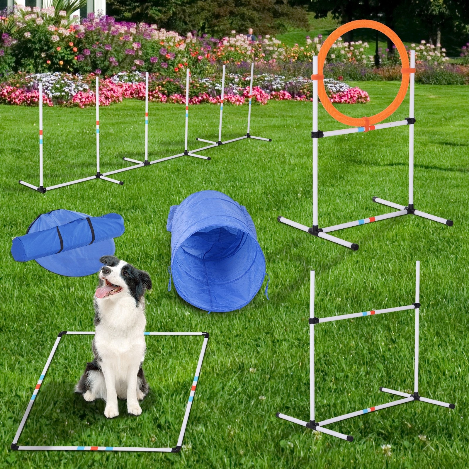 Used dog clearance training equipment
