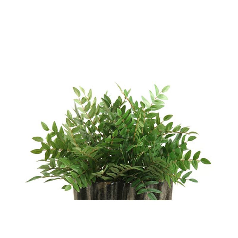 HomeStock Green Locust Spray in Oval Ceramic Planter - Lush Faux Branch for Elegant Natural Decor - 19