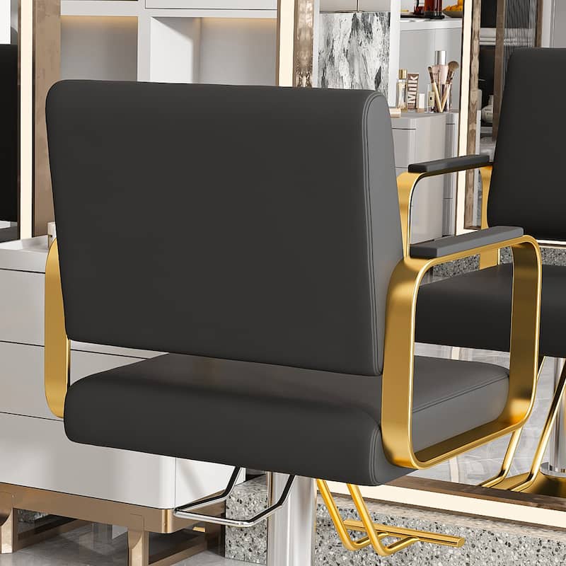 Roomfitters Hydraulic Salon Chair, 360 Swivel Styling Chair with Gold Base, Professional Barber Equipment, Black