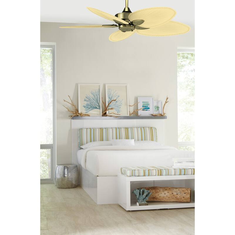 Fanimation Windpointe 52 inch Indoor Ceiling Fan