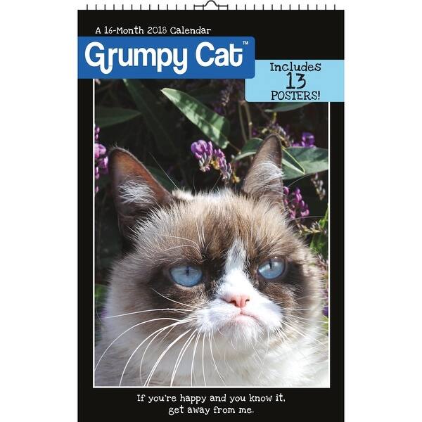 Shop Grumpy Cat 2018 Oversized Wall Calendar Overstock 18144205