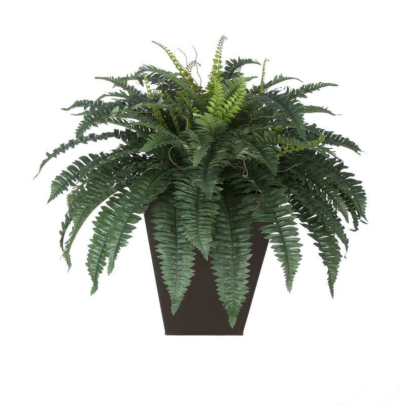Faux Fern in Square Zinc Planter - Matte Brown