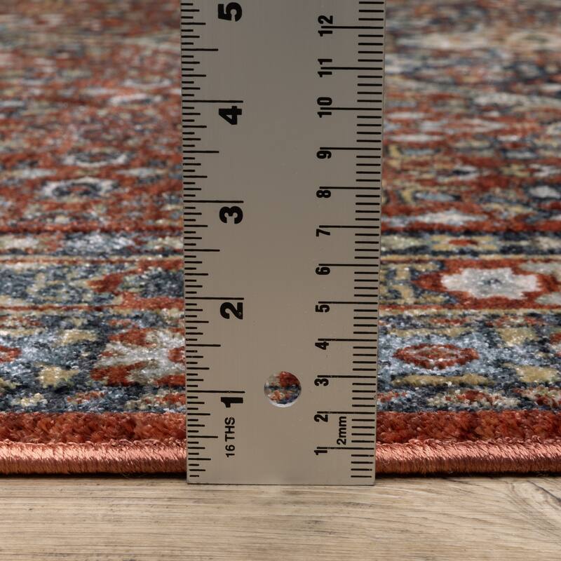 Esme Vintage Medallion Red/ Multi Area Rug