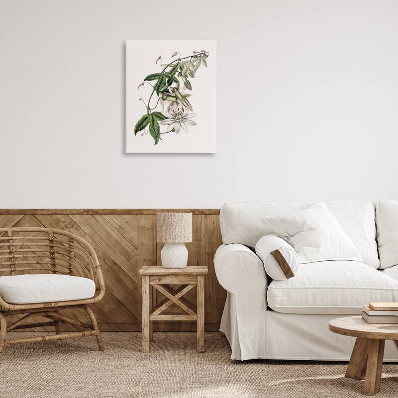 Stupell Vintage Lily Plant Canvas Wall Art Design By CAD Designs
