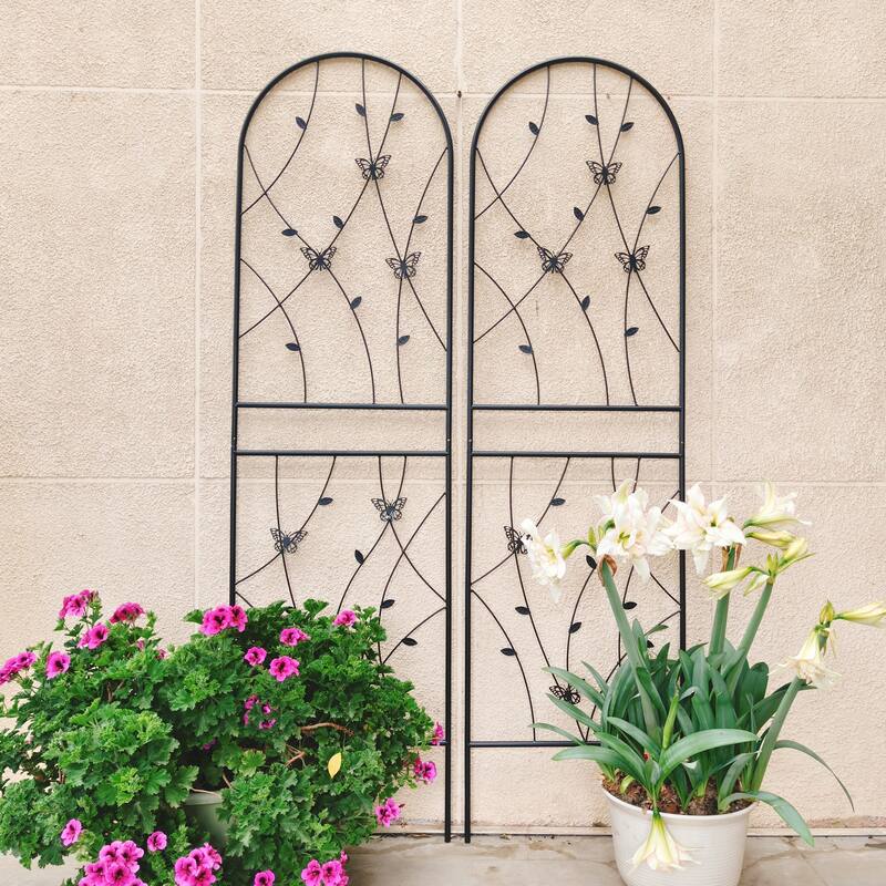 2 Pack Metal Garden Trellis 71in x 19.7in Rustproof Trellis - Black