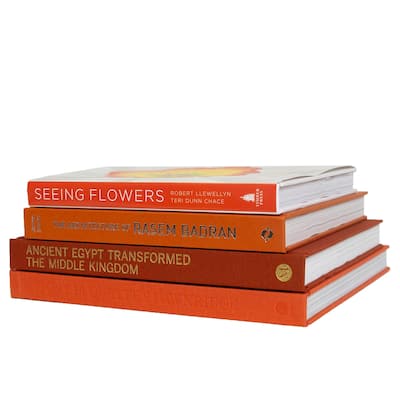 Books Orange Decorative Accessories: Canyon ColorStak