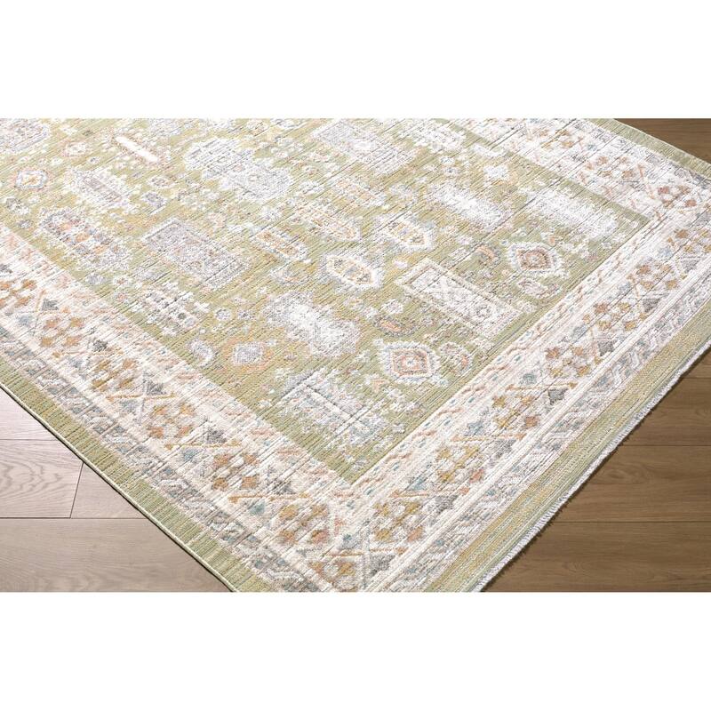 Livabliss Amir Traditional Area Rug