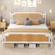 Option White Walnut