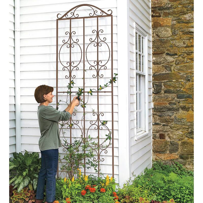 Montebello Metal Tall Garden Trellis
