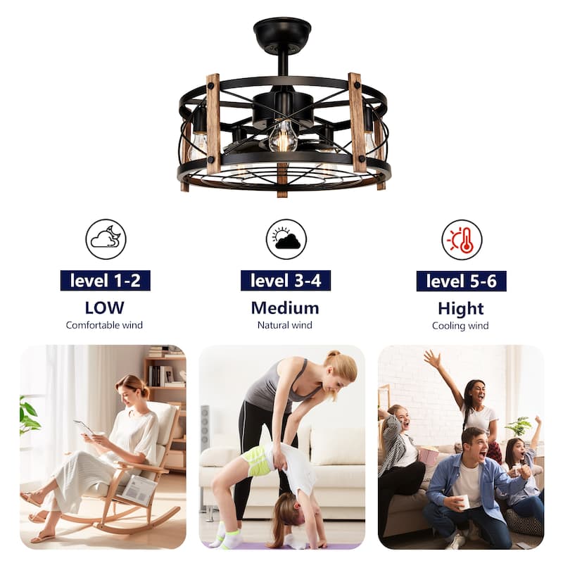 20" Ceiling Fan With Remote Control, Quiet Motor Fan Light, Indoor Chandelier Ceiling Fan for Bedroom, Living room - Matte Black