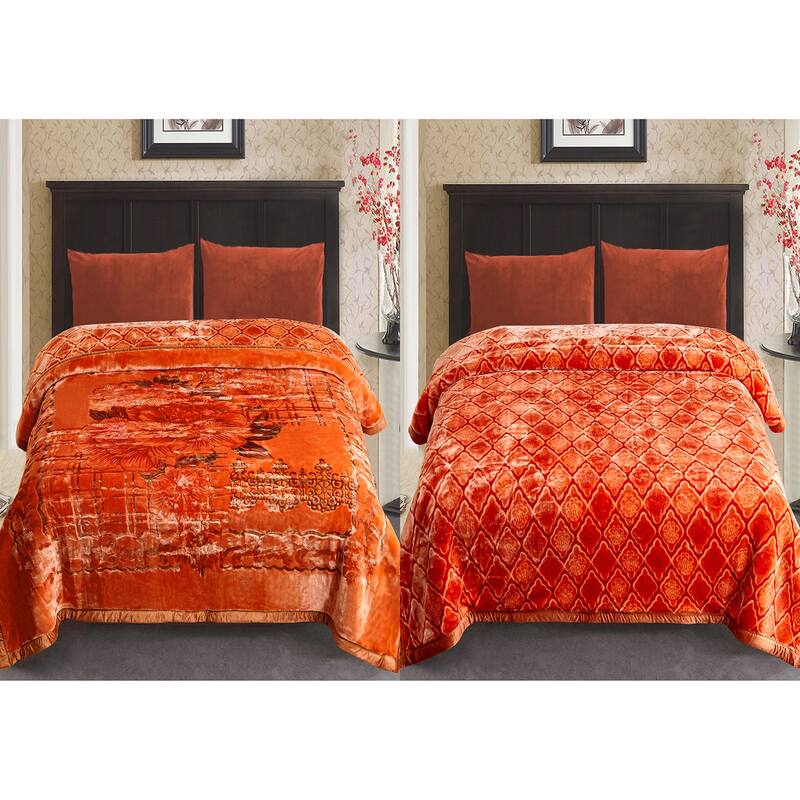 Reversible 10.5 Pounds Plush Fleece Blankets, 2 PLY A&B Design 87" x 95" Bed Blankets for Winter