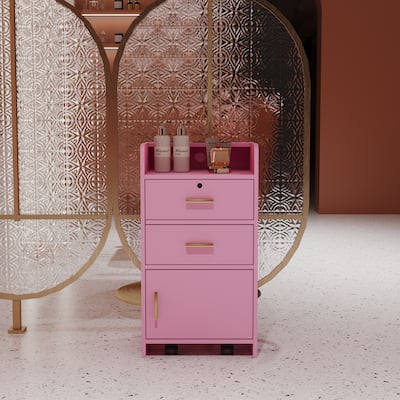 Locking Beauty Salon Storage Cabinet Hair Dryer Holder Stylist Equipment 2-Drawer