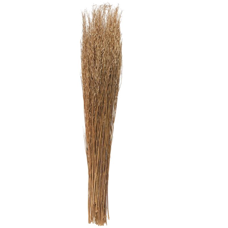 Brown Dried Plant Tall Sticks Home Decor Natural Foliage