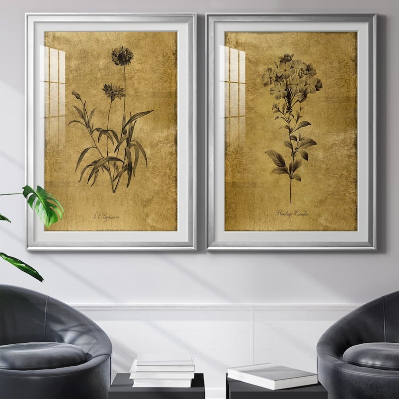 Gold Sketch Botanical I Premium Framed Print - Ready to Hang