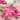 Artificial Silk Flowers 30 Pack – High-End Decorative Faux Florals for Home Decor, Weddings, Parties, Centerpieces