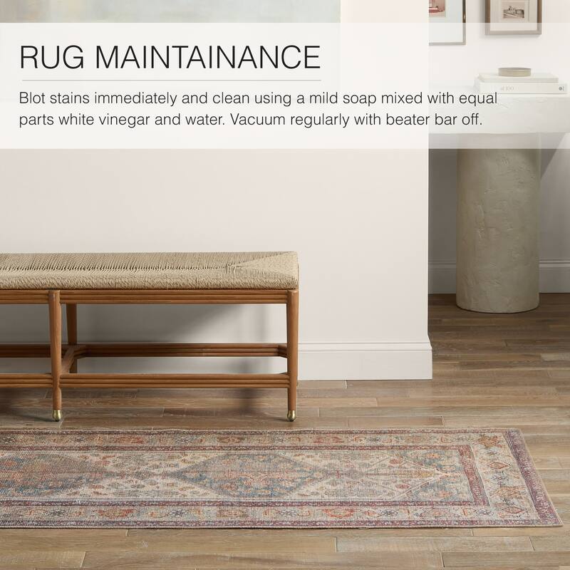 Arkansas Machine Washable Medallion Area Rug