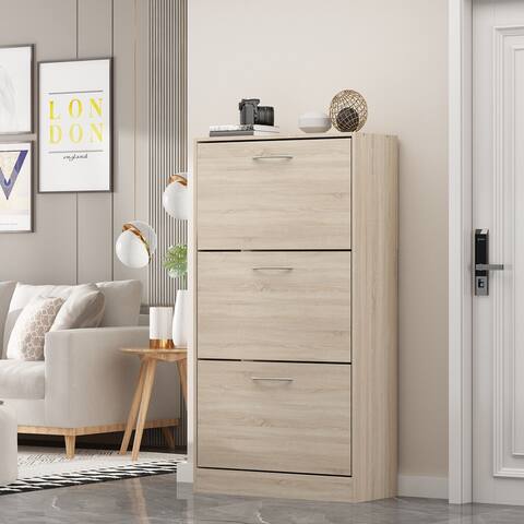 Modern Shoe Storage Cabinet for Entryway, 2 Tier Floor Shoes Cabinet