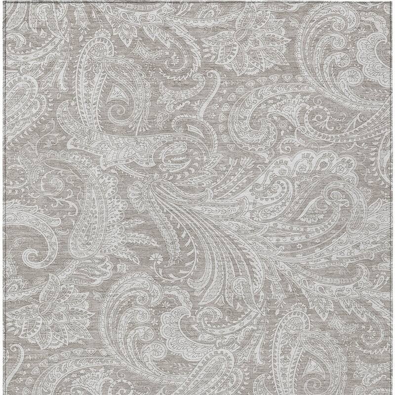 HomeRoots Paisley Transitional Rectangle Outdoor Rug