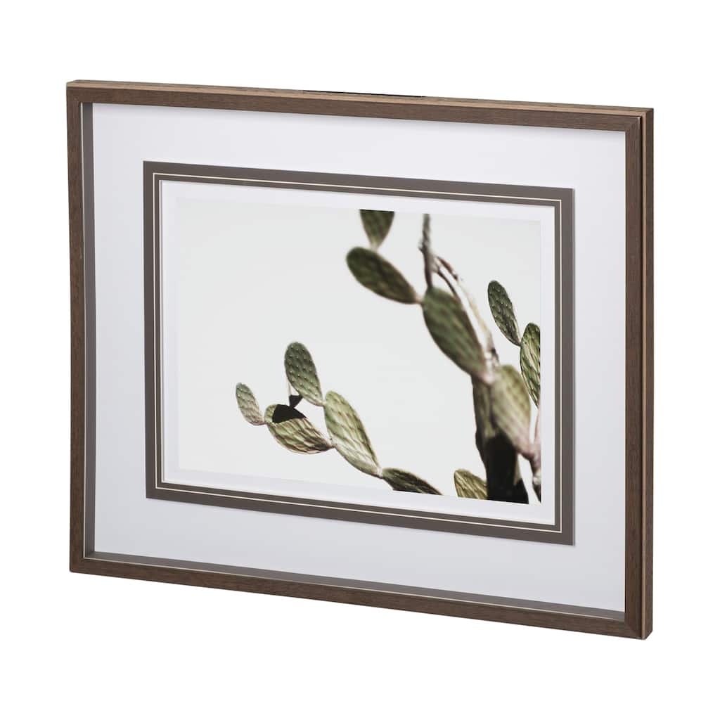 AZ Botanical 38 Framed Art Print
