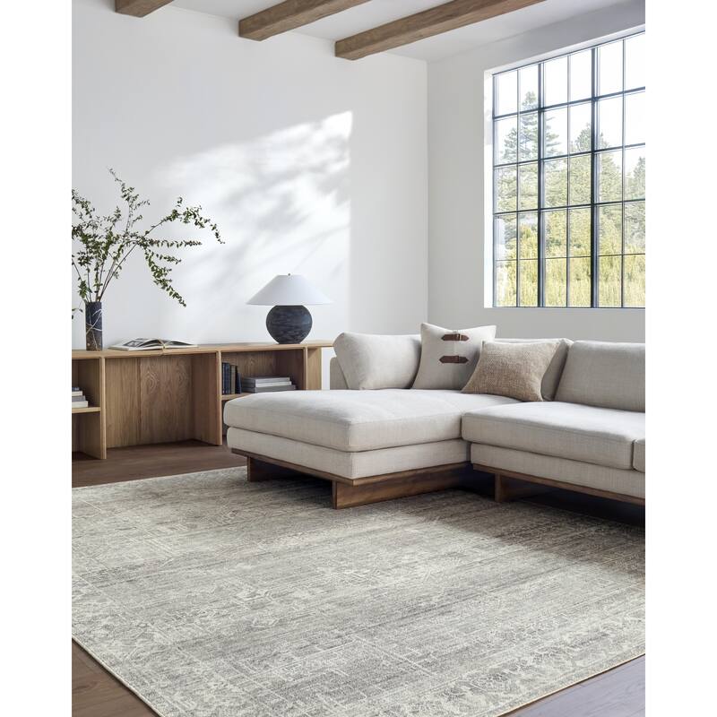 Galey Alix x Livabliss Collins Avenue VII Vintage Medallion Area Rug - 9' 11" x 14' - Medium Gray/Ivory
