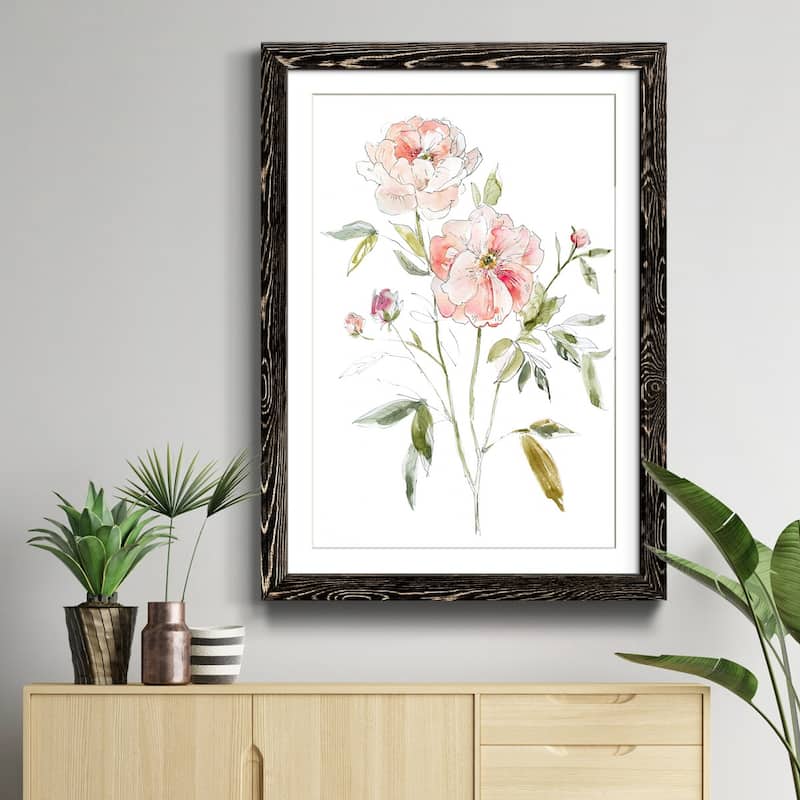 Sketchbook Cottage Rose I-Premium Framed Print - Ready to Hang