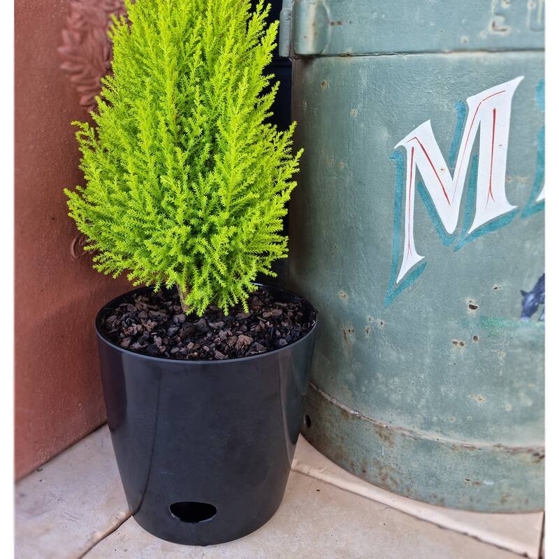 7" Round Self-Watering Indoor/Outdoor Bamboo Pots