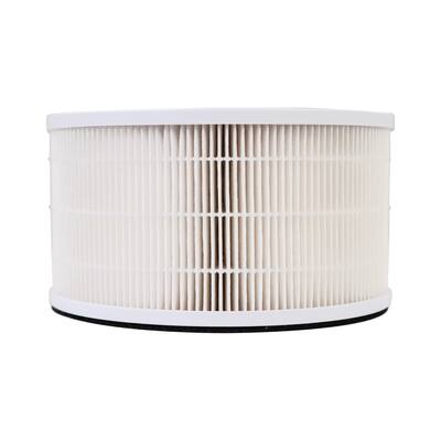 LivePure True HEPA Replacement Filter for LP500APHTR