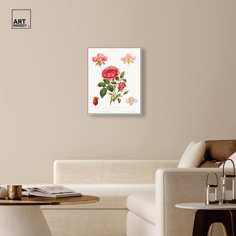 Rose and its parts (1872) Canvas by Art Remedy