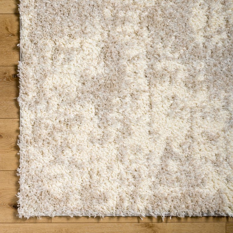 Joan Shag Area Rug