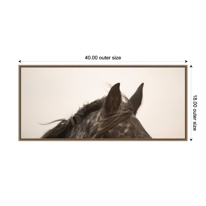 Kate and Laurel Horse Ears Panel by Crystal Lynn Collins Framed Canvas Wall Art Print