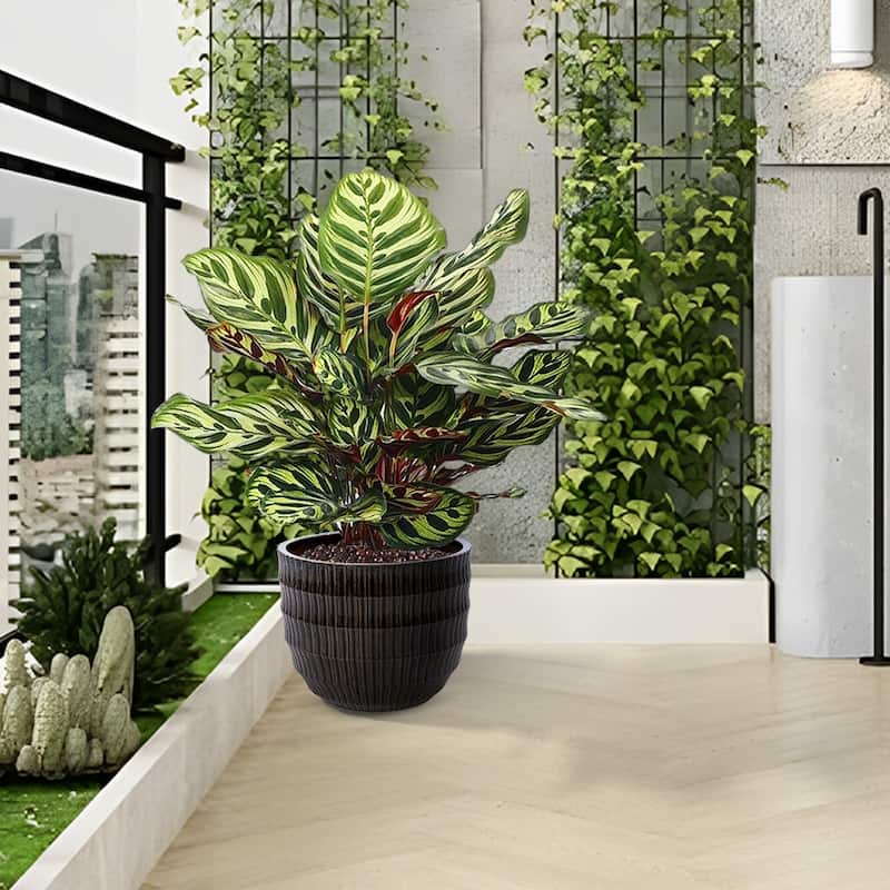 Anmytek Ceramic Planter Set of 4 with Drainage for Indoor Outdoor