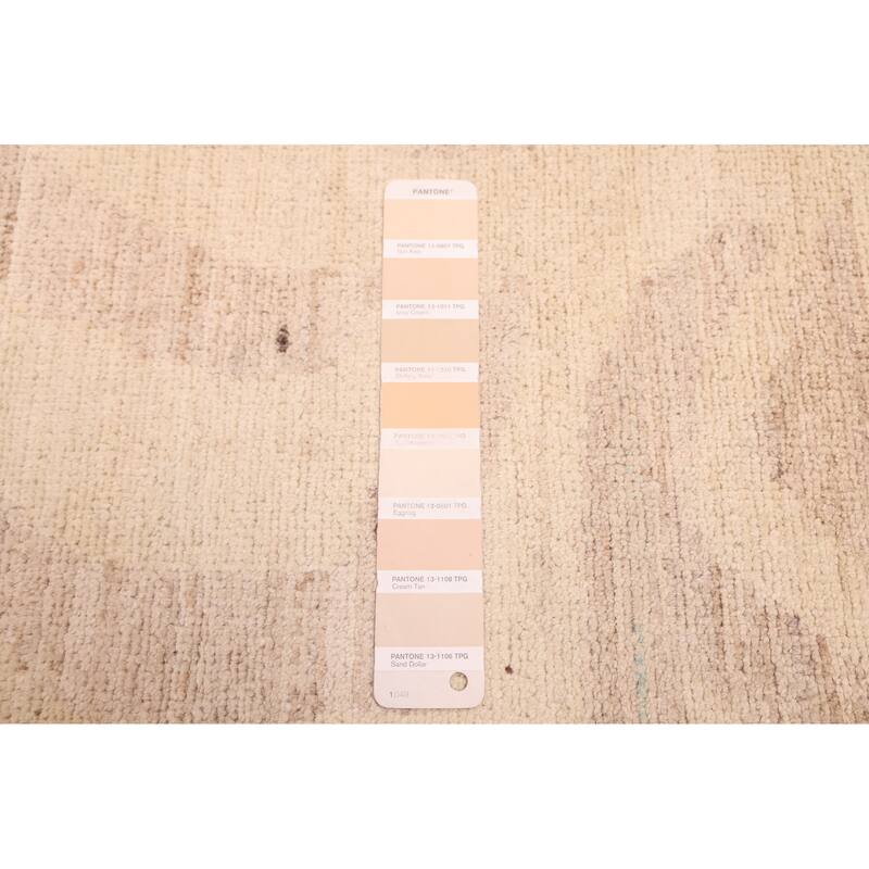 ECARPETGALLERY Hand-knotted Peshawar Ziegler Ivory Wool Rug - 9'0 x 11'8