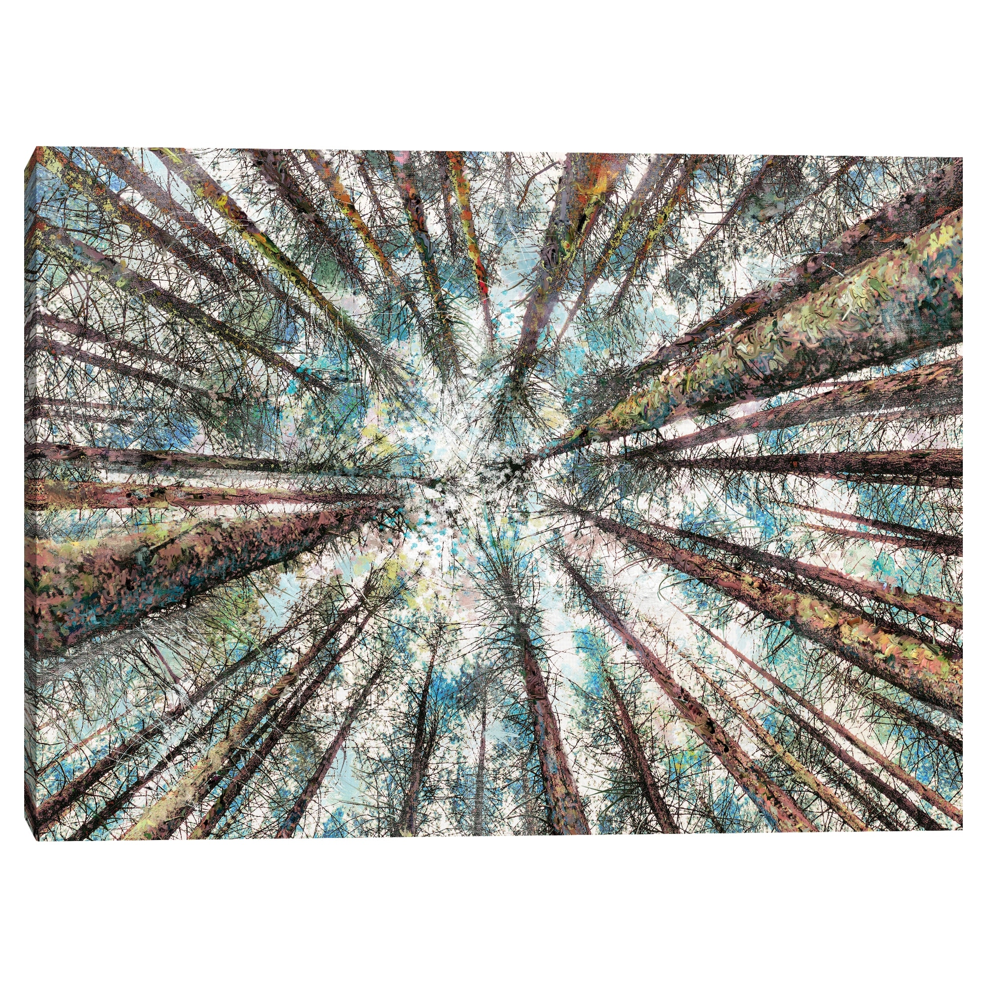Spring Heights by Studio Arts Canvas Art Print